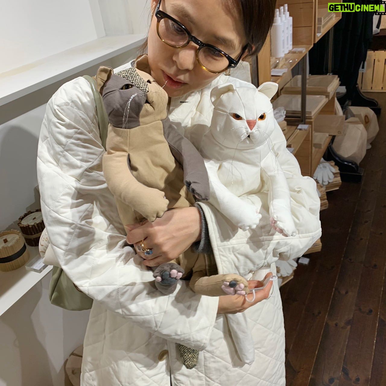 Yuriko Ishida Instagram - 引力のある作品にまた出会ってしまった👀👏🏻🕊🐈 なんですか、この、可愛さは。そして、生地の選び方、 フォルムと手触り,重さ、 シルエット。 素晴らしい。 ヒバを入れることができるポケットが付いています。 井澤佳織さんの作品です。 「15匹の猫と5匹の鳩と」 中目黒のカルデサックにて 明日と明後日,展示会だそうです。 どの子も、ほんとうに、 魅力的でした…😭🙏🏻👏🏻 @forestsydukke @culdesac.japon
