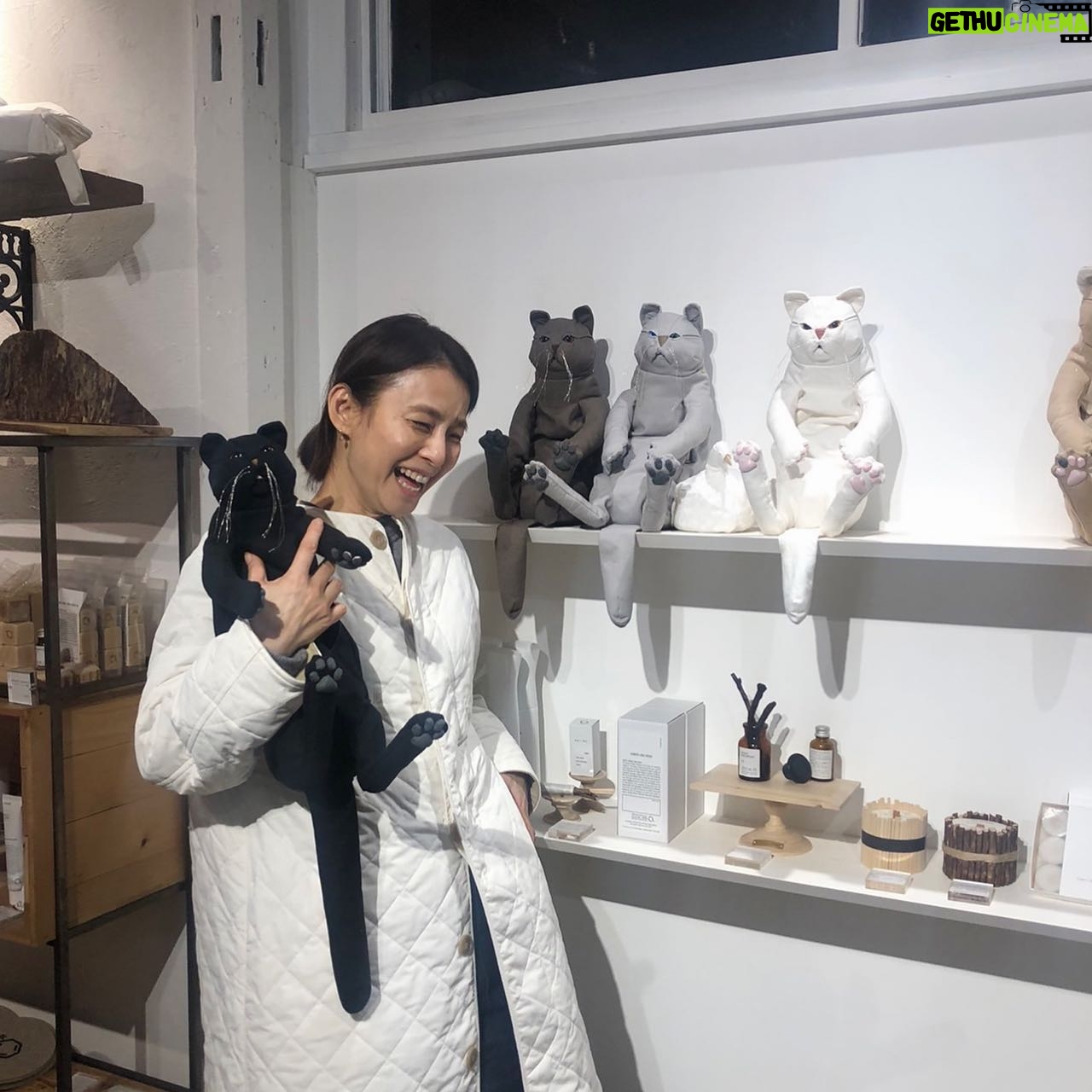 Yuriko Ishida Instagram - 引力のある作品にまた出会ってしまった👀👏🏻🕊🐈 なんですか、この、可愛さは。そして、生地の選び方、 フォルムと手触り,重さ、 シルエット。 素晴らしい。 ヒバを入れることができるポケットが付いています。 井澤佳織さんの作品です。 「15匹の猫と5匹の鳩と」 中目黒のカルデサックにて 明日と明後日,展示会だそうです。 どの子も、ほんとうに、 魅力的でした…😭🙏🏻👏🏻 @forestsydukke @culdesac.japon