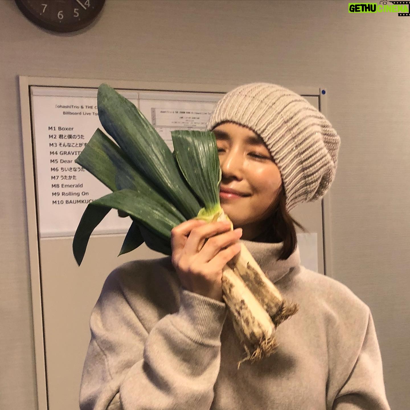 Yuriko Ishida Instagram - 寒いですね… 今年の冬は久々に冬らしい キリッとした寒さを感じます… @okaboooo が毎年 この季節に下さる 立派な下仁田葱と記念撮影。 何を隠そうわたしは 葱が大好き。そして ニット帽も同じくらい好きです。 そして、何となく思い立って lilyさん専用のアカウントを 作ってみました。 今後の lilyの活動を細々と こちらにアップしていこうかと 思います。 @lily__yuriko です👏🏻🎼🎹 写真は先日の billboard Live 横浜の 楽屋にて。