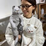 Yuriko Ishida Instagram - 引力のある作品にまた出会ってしまった👀👏🏻🕊🐈 なんですか、この、可愛さは。そして、生地の選び方、 フォルムと手触り，重さ、 シルエット。 素晴らしい。 ヒバを入れることができるポケットが付いています。 井澤佳織さんの作品です。 「15匹の猫と5匹の鳩と」 中目黒のカルデサックにて 明日と明後日，展示会だそうです。 どの子も、ほんとうに、 魅力的でした…😭🙏🏻👏🏻 @forestsydukke @culdesac.japon