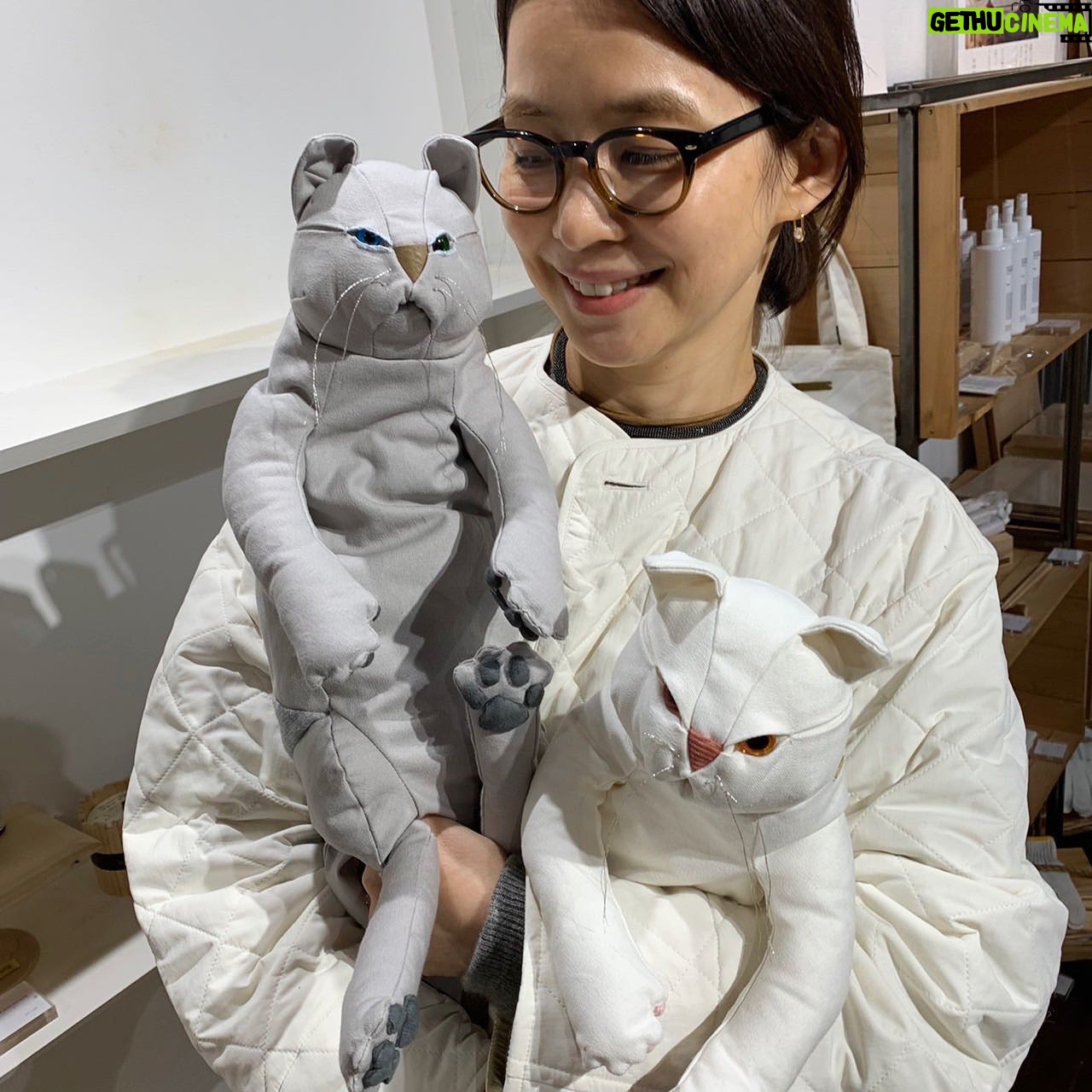 Yuriko Ishida Instagram - 引力のある作品にまた出会ってしまった👀👏🏻🕊🐈 なんですか、この、可愛さは。そして、生地の選び方、 フォルムと手触り,重さ、 シルエット。 素晴らしい。 ヒバを入れることができるポケットが付いています。 井澤佳織さんの作品です。 「15匹の猫と5匹の鳩と」 中目黒のカルデサックにて 明日と明後日,展示会だそうです。 どの子も、ほんとうに、 魅力的でした…😭🙏🏻👏🏻 @forestsydukke @culdesac.japon