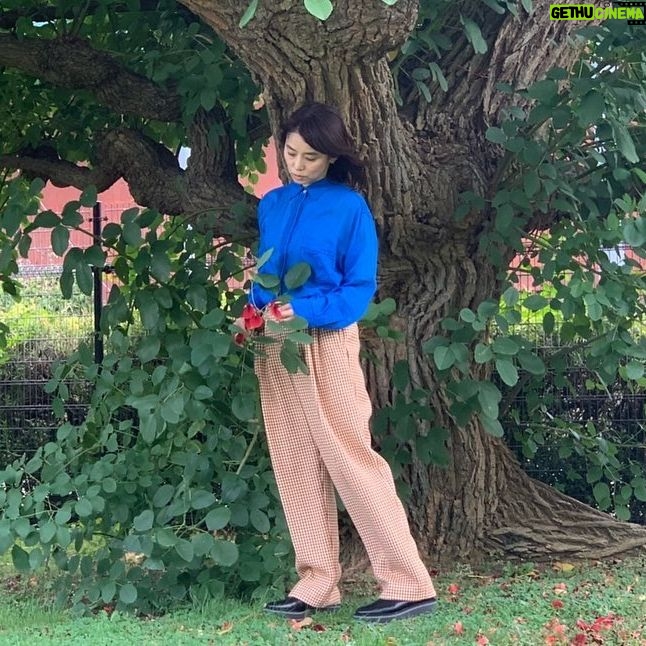 Yuriko Ishida Instagram - ひとりのじかん。 それが取材のテーマでした。わたしは基本的に ひとりが好きで、大体どこにでもひとりで行きます。もちろん気の合う友人や仕事仲間と出かけることもありますが、実のところ,ひとりが一番落ち着く気がします… ひとりは孤独では無いんですよね。自分の中の自分と話をしてる感覚です。そして、他者ときちんと関わり合うためにも 一人の時間は絶対に必要なんですよね。 @tamalin727 @okaboooo