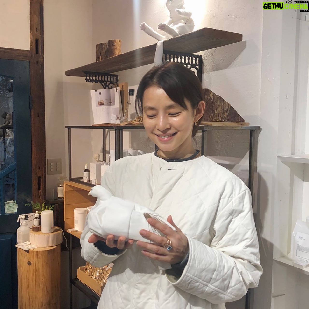 Yuriko Ishida Instagram - 引力のある作品にまた出会ってしまった👀👏🏻🕊🐈 なんですか、この、可愛さは。そして、生地の選び方、 フォルムと手触り,重さ、 シルエット。 素晴らしい。 ヒバを入れることができるポケットが付いています。 井澤佳織さんの作品です。 「15匹の猫と5匹の鳩と」 中目黒のカルデサックにて 明日と明後日,展示会だそうです。 どの子も、ほんとうに、 魅力的でした…😭🙏🏻👏🏻 @forestsydukke @culdesac.japon