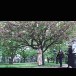 Yuriko Ishida Instagram - 資生堂のCM 「みんな，いい顔してる」の 撮影風景。 八重桜満開の都内の公園にて。 気持ちよさそうに自由に歩いて，とのことでした🐕 このCMを観ていると この三年間の日々と、ここから始まる 少しだけ新しい日々に、 様々な思いが押し寄せます 時間は戻せないけど、ここから先の日々がどうか、希望のかけらが散りばめられた 優しい日々でありますようにと心から願います。 #資生堂 #みんないい顔してる