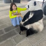 Yuriko Ishida Instagram - 数ヶ月前の 「BIG」の撮影時のひととき。 パンダくんとの撮影は、 ただただ彼の動きが可愛くて、 何をしててもパンダくんが気になって仕方ありませんでした。 BIGの撮影はいつも、 素晴らしいゲストと一緒なので 毎回かなり楽しいです。 ゲストの皆さん、来てくださりありがとうございます😭😊。 #スポーツくじbig