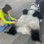 Yuriko Ishida Instagram - 数ヶ月前の 「BIG」の撮影時のひととき。 パンダくんとの撮影は、 ただただ彼の動きが可愛くて、 何をしててもパンダくんが気になって仕方ありませんでした。 BIGの撮影はいつも、 素晴らしいゲストと一緒なので 毎回かなり楽しいです。 ゲストの皆さん、来てくださりありがとうございます😭😊。 #スポーツくじbig