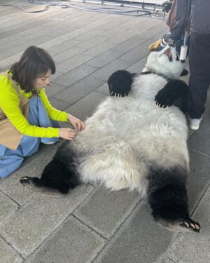 Yuriko Ishida Instagram - 数ヶ月前の
「BIG」の撮影時のひととき。
パンダくんとの撮影は、
ただただ彼の動きが可愛くて、
何をしててもパンダくんが気になって仕方ありませんでした。
BIGの撮影はいつも、
素晴らしいゲストと一緒なので
毎回かなり楽しいです。
ゲストの皆さん、来てくださりありがとうございます😭😊。
#スポーツくじbig