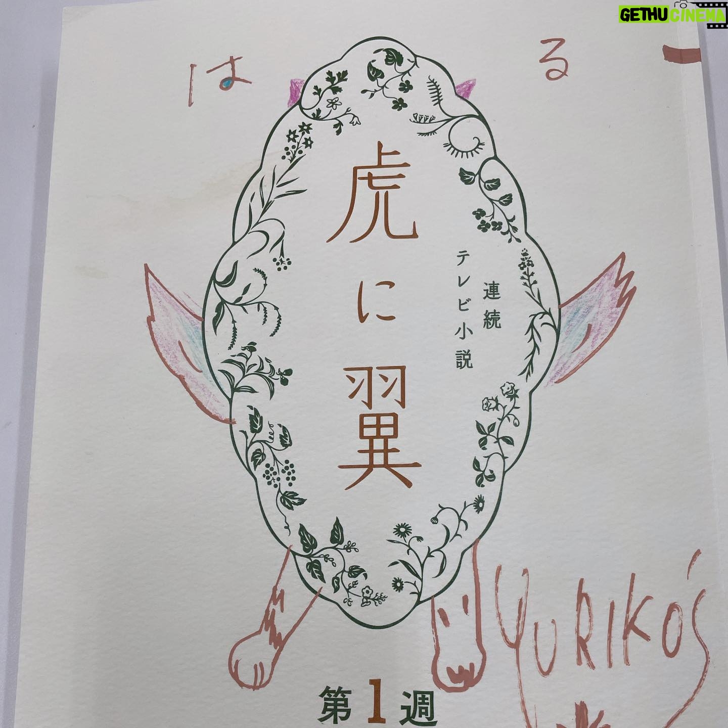 Yuriko Ishida Instagram - 虎に翼。 いいタイトルだなぁ。とっても好きです。 そして、このロゴデザインも本当にすてき。 ちなみに、ひとめみて、自分の台本だと 分かるように わたくし、翼と、虎の足と、耳を描きました… はる、というのは私の役名です。 伊藤沙莉ちゃん演じるヒロインのトラちゃん のお母さんです。幸せな役です。 明日も頑張るぞ。おやすみなさい。 #虎に翼