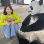 Yuriko Ishida Instagram - 数ヶ月前の 「BIG」の撮影時のひととき。 パンダくんとの撮影は、 ただただ彼の動きが可愛くて、 何をしててもパンダくんが気になって仕方ありませんでした。 BIGの撮影はいつも、 素晴らしいゲストと一緒なので 毎回かなり楽しいです。 ゲストの皆さん、来てくださりありがとうございます😭😊。 #スポーツくじbig