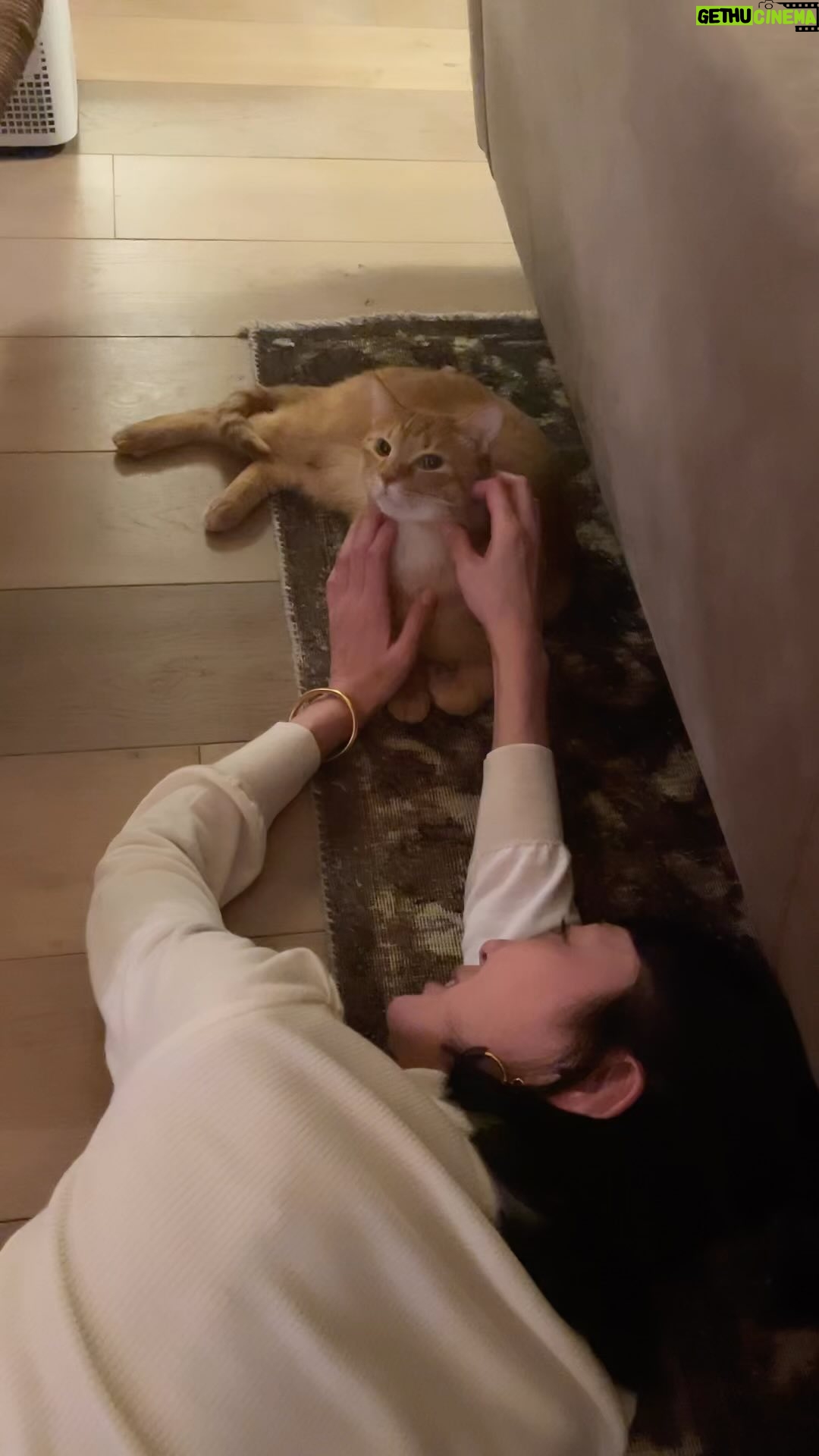 Yuriko Ishida Instagram - ひさしぶりに ゆかちゃんがきた。 ぼくはさいきん、すこし、 社交性をみにつけはじめているので、 1時間くらいしたときに ゆっくりゆかちゃんのまえに とうじょうしてみせた。 こんにちは、ゆかちゃん おひさしぶりです。 と、こころのなかであいさつした。 そして、かなり親密なじかんを すごしました。 おかーさんはよろこんでいました。 #ハニオ日記 #また間違えて人間アカウントに