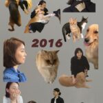 Yuriko Ishida Instagram - コラージュが面白くてやめられなくなりました… 2016年のわたくしと、動物たち。 七年前の私は確かに今より なんとなく若いし、 そして動物たちはまだ、こども。 雪は2歳、ハニタビは生後半年くらいかな。なつかしい。ビスク、懐かしい。会いたいです。 ちなみにコラージュはアプリではなく ひたすら 切り抜きをコピーアンドペースト しております…😭👏🏻👀 #凝り性