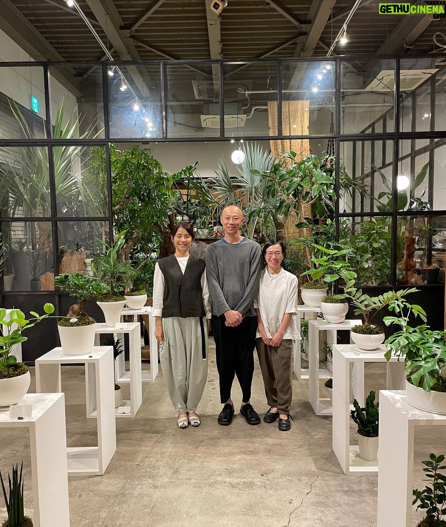 Yuriko Ishida Instagram - 私の大好きな場所 新木場のカシカ @casica.tokyo にて 大谷哲也さんの個展が 始まりました🪴👏🏻 今回は哲也さんの白磁に グリーンたちを植え込んでいて、ずらりと並んだ世界は 静かなのに温かく、健やかで。 わたくしも2つ、お迎えすることにしました🪴🪴 大谷哲也さん、桃子さん夫妻は なにをかくそう ちびた(ソイ)のずっとのおうちのお父さんお母さんです🐈😊😍 本当に素敵なお二人。 私に紹介してくれた ひりんこ @h_i_r_i_n_k_o に 深く感謝します。 あ、8枚目は ライスクッカー。 ずっと気になってたので これも連れて帰りました。三合炊きのほう(小さいほう)😊👏🏻 大谷哲也展 Pottery Green 9/5〜9/18 ぜひとも。 #大谷哲也potteryforgreen