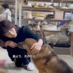 Yuriko Ishida Instagram - めっきり冷え込んだ雨の日。 笠間にある、陶芸家の額賀章夫さん @nceramicstudio のアトリエへ。 アトリエの匂いはいつも、 なにかが生み出される静かな熱気に満ちていて 私は密かに心躍る。 しかしそのまえに。 犬🐕の桃ちゃんと語らう。 コーギー入ってるんだよねー、と 言ってますね… @kanaeishii_lc @uenoasako と一緒の大人の遠足。わたしは 運転手でもあります！😆🚙