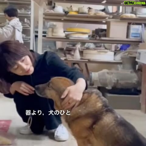 Yuriko Ishida Instagram - めっきり冷え込んだ雨の日。 笠間にある、陶芸家の額賀章夫さん @nceramicstudio のアトリエへ。 アトリエの匂いはいつも、 なにかが生み出される静かな熱気に満ちていて 私は密かに心躍る。 しかしそのまえに。 犬🐕の桃ちゃんと語らう。 コーギー入ってるんだよねー、と 言ってますね… @kanaeishii_lc @uenoasako と一緒の大人の遠足。わたしは 運転手でもあります!😆🚙
