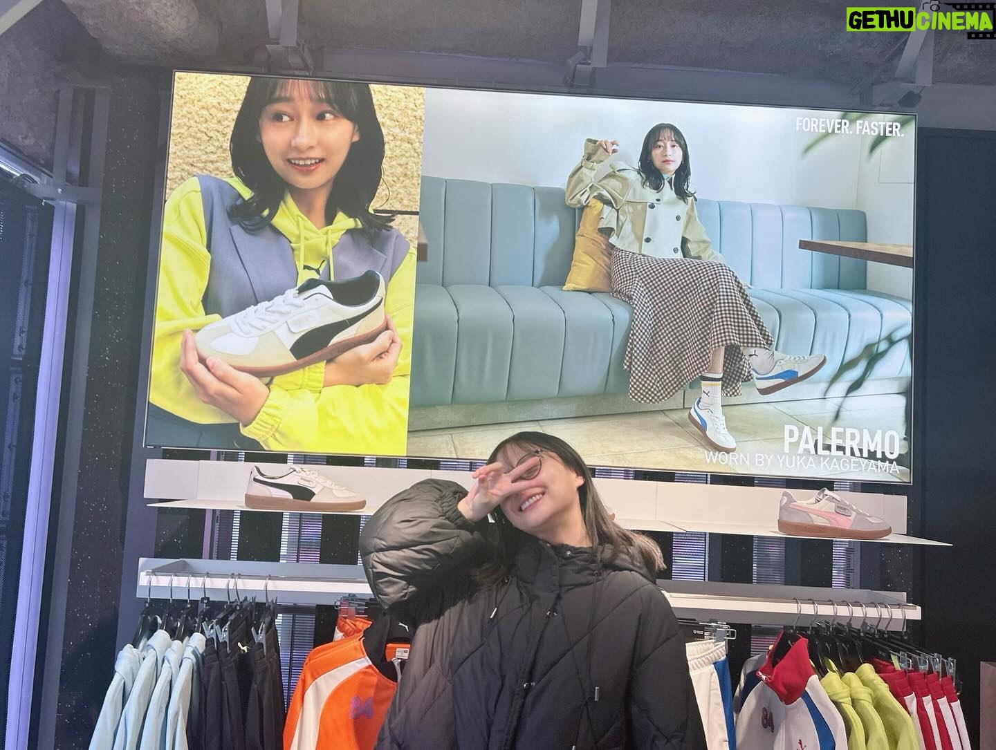Yuuka Kageyama Instagram - PUMA『PALERMO』カラーアップモデル発売にあわせて、キャンペーンモデルを務めることになりました👟 PUMAらしいクラシックなガムソールや、 ゴールドのプーマレタリングが施されたシグネチャータグがさりげなくも存在感を演出してくれます。 そして、本日からキャンペーンが始まるということで、 PUMA STORE 原宿 CAT STREETにお邪魔しました☺️ 店内のポスターやデジタルサイネージにて想像以上に大きく展開いただいており感動しました! 渋谷・原宿エリアでは屋外広告も掲示されるとのことですのでみなさんもぜひ探してみてください✨ #PUMAPalermo #PALERMO #puma #プーマ