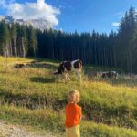 Yvonne Strahovski Instagram - Hiking to Lac Bénit #france🇫🇷 #sunset 🧡