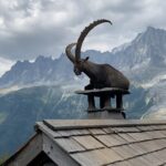 Yvonne Strahovski Instagram - It’s not every day you come across a giant mountain goat sitting on a roof with the French Alps in the background I mean CMON !! Are you kidding me France !? #photooftheday