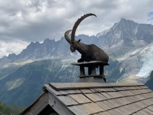 Yvonne Strahovski Instagram - It’s not every day you come across a giant mountain goat sitting on a roof with the French Alps in the background I mean CMON !! Are you kidding me France !? #photooftheday