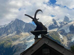 Yvonne Strahovski Instagram - It’s not every day you come across a giant mountain goat sitting on a roof with the French Alps in the background I mean CMON !! Are you kidding me France !? #photooftheday