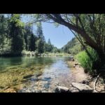Yvonne Strahovski Instagram - Really missing being on the road right now & finding spots like this to play in 🌳 What are your favorite camping hideaways?