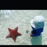 Yvonne Strahovski Instagram - Baby meets Starfish 🌊