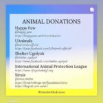 Yvonne Strahovski Instagram - The majority of my family lives in Poland. Our neighbors need help. The above 👆🏻 shows great ways you can help. Housing is especially important. I couldn’t be prouder of my family right now hosting Ukrainian refugees, children and their mothers, and working together to help in other ways. 👊🏻💔❤️
