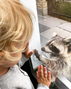 Yvonne Strahovski Instagram - Canadian quarantine 🍁
