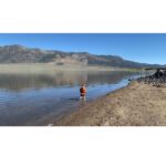 Yvonne Strahovski Instagram - Little adventurer 🥾