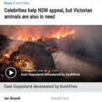 Yvonne Strahovski Instagram - The fires in Australia have been devastating. Thank you to all who have donated to help my mother country through this epic tragedy. Thank you also to my friend @wheresclare2 for raising awareness that the funds being raised for some of the organizations can not be shared with other organizations who still NEED funds. If you’re still looking to help & donate please consider @wildlifevictoria and @kiwildlifepark to help NSW’s neighboring state Victoria out with their furry animals. Links to donate in their bios. My heart goes out to all affected.