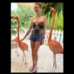 Yvonne Strahovski Instagram - A few more snaps from @grandhyattbahamar ♥️☀️🦩Thank you again @bahamarresorts for being wonderful. We will be back one day I hope ♥️☀️🦩We loved this trip so much 💋