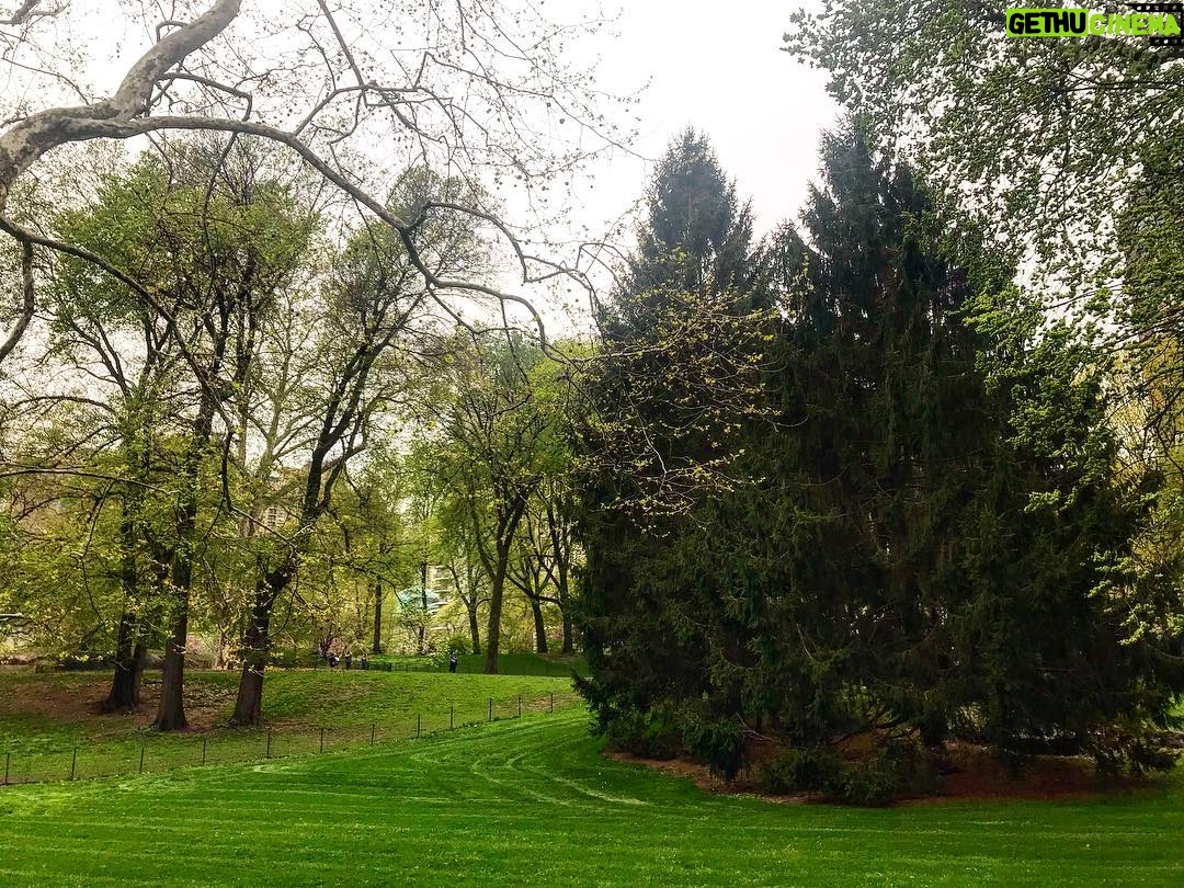 Yvonne Strahovski Instagram - So much green today in #centralpark !!! #springishere What a welcome sight after winter !!! #nyc π³π±πΏππ’ππΏ