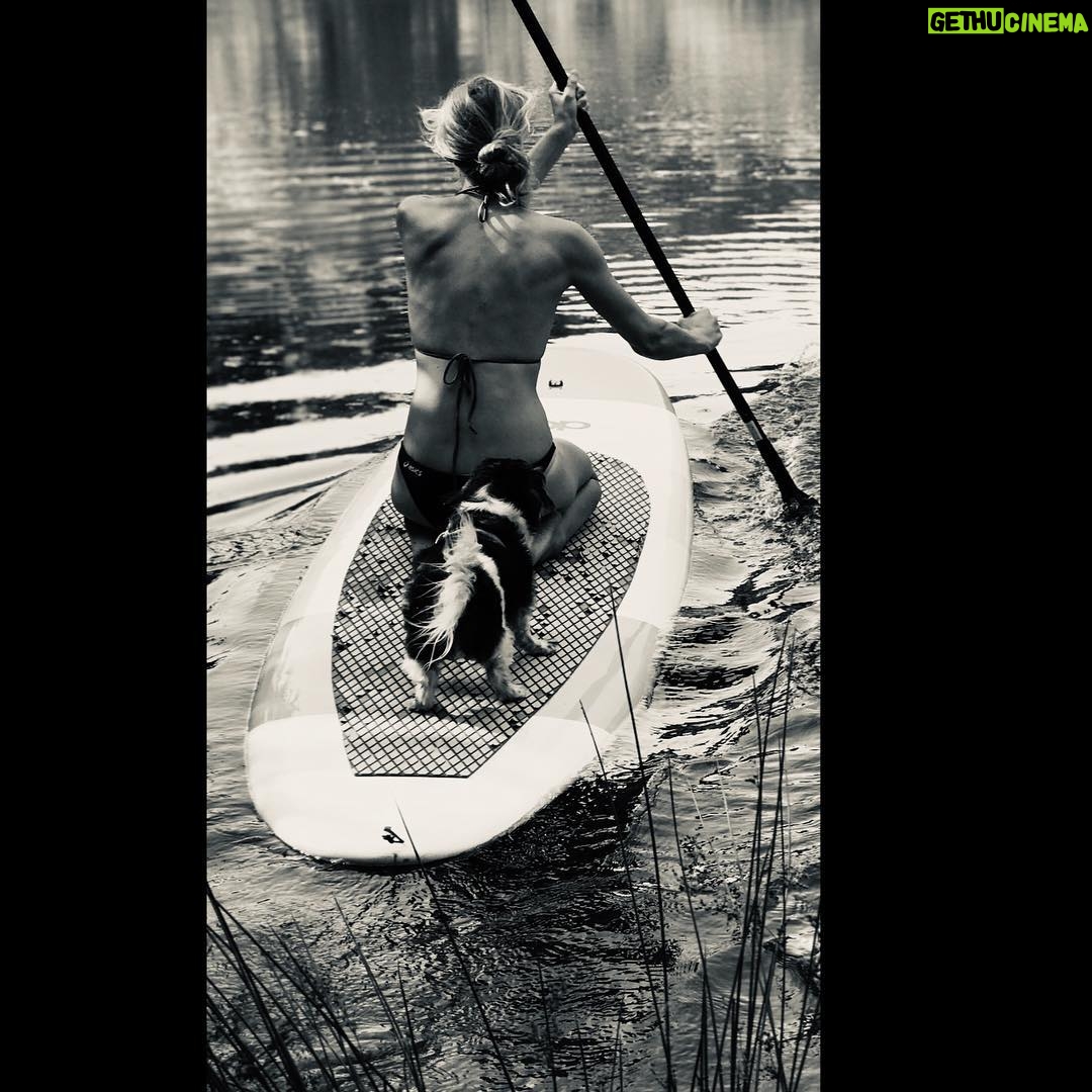 Yvonne Strahovski Instagram - A year tonight I said bye to my best friend Chazzy. I love you & miss you forever my Angel. Till we meet again someday ❤️