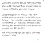 Yvonne Strahovski Instagram - The fires in Australia have been devastating. Thank you to all who have donated to help my mother country through this epic tragedy. Thank you also to my friend @wheresclare2 for raising awareness that the funds being raised for some of the organizations can not be shared with other organizations who still NEED funds. If you’re still looking to help & donate please consider @wildlifevictoria and @kiwildlifepark to help NSW’s neighboring state Victoria out with their furry animals. Links to donate in their bios. My heart goes out to all affected.