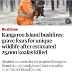 Yvonne Strahovski Instagram - The fires in Australia have been devastating. Thank you to all who have donated to help my mother country through this epic tragedy. Thank you also to my friend @wheresclare2 for raising awareness that the funds being raised for some of the organizations can not be shared with other organizations who still NEED funds. If you’re still looking to help & donate please consider @wildlifevictoria and @kiwildlifepark to help NSW’s neighboring state Victoria out with their furry animals. Links to donate in their bios. My heart goes out to all affected.