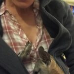 Yvonne Strahovski Instagram - The second cutest thing I ever did see 😍 baby joey!!! 😍