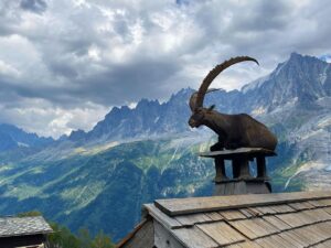 Yvonne Strahovski Instagram - It’s not every day you come across a giant mountain goat sitting on a roof with the French Alps in the background I mean CMON !! Are you kidding me France !? #photooftheday