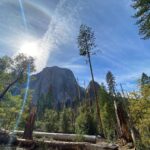 Yvonne Strahovski Instagram - #yosemite is STUNNING