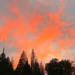 Yvonne Strahovski Instagram - #yosemite is STUNNING