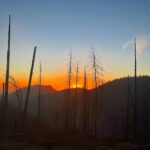 Yvonne Strahovski Instagram - Hey Bear #sequoianationalpark