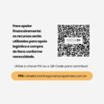 Zélia Duncan Instagram - Ímãs! Atenção para nova coleta de doções para o RS em SP! ・・・ Estamos reabrindo o hub de coleta na Arena Radical para receber doações específicas. Junte-se a nós e faça a diferença! 💚❤️💛 @partners.parceriaspelors #ajudars