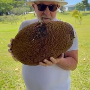 Zélia Duncan Instagram - O mundo tantas vezes não é um lugar seguro... tantas desgraças acontecendo, mas um cena leve e espontânea dessas me emociona às lágrimas. E jaca dura é das minhas frutas favoritas! Bom ENEM pra todas as pessoas, que o futuro possa ser possível!