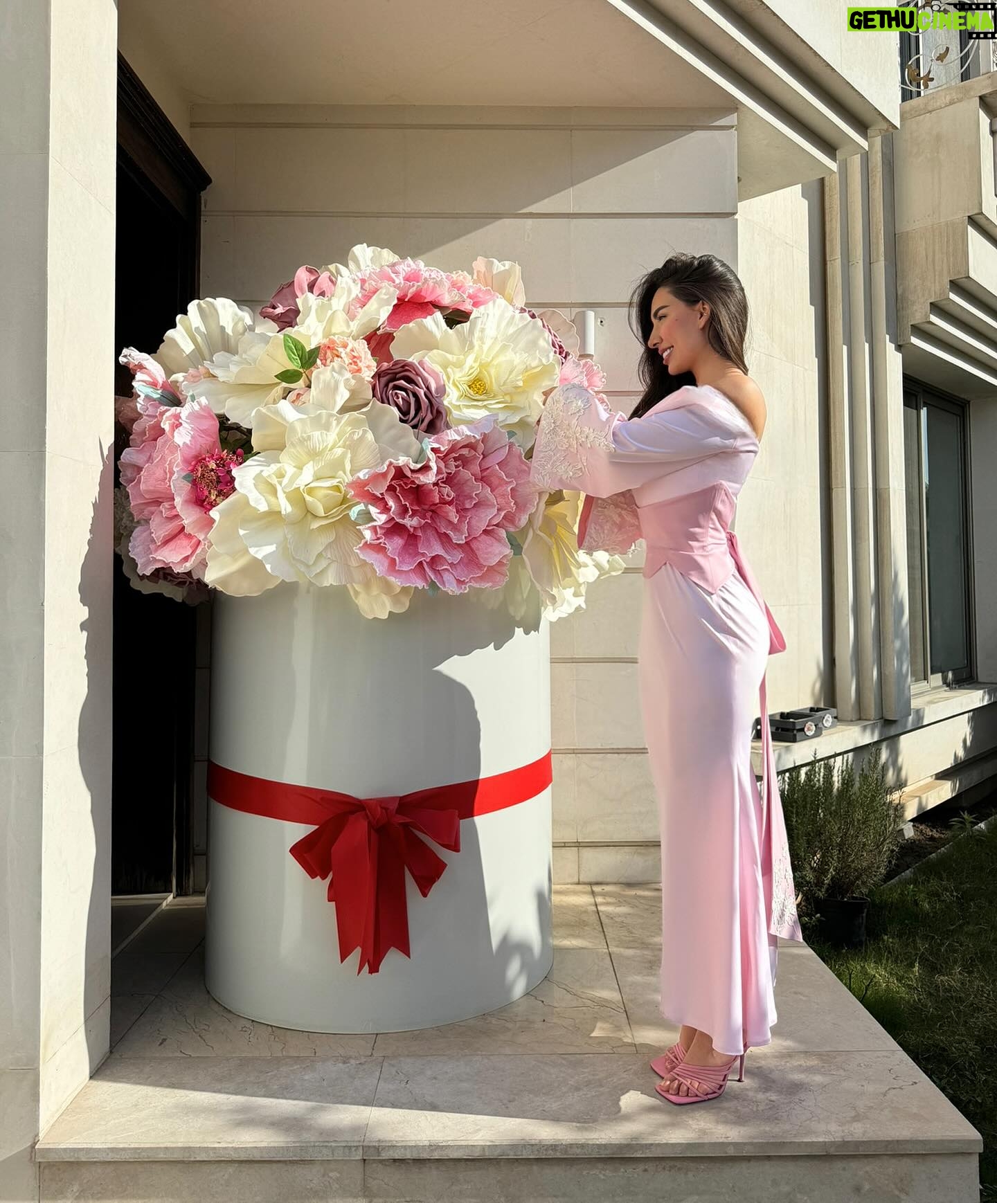 Zahraa Sami Instagram - Princess treatment only 🎂🩷 Dress: @wer.official x zahraa sami