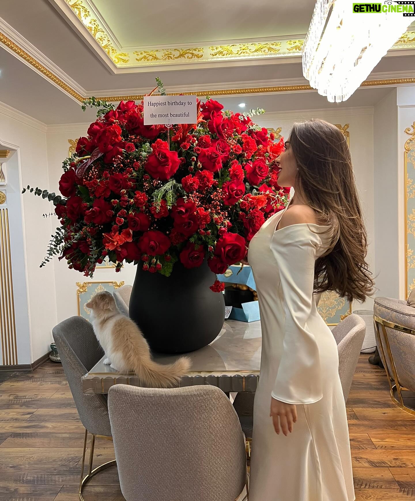Zahraa Sami Instagram - Princess treatment only 🎂🩷 Dress: @wer.official x zahraa sami