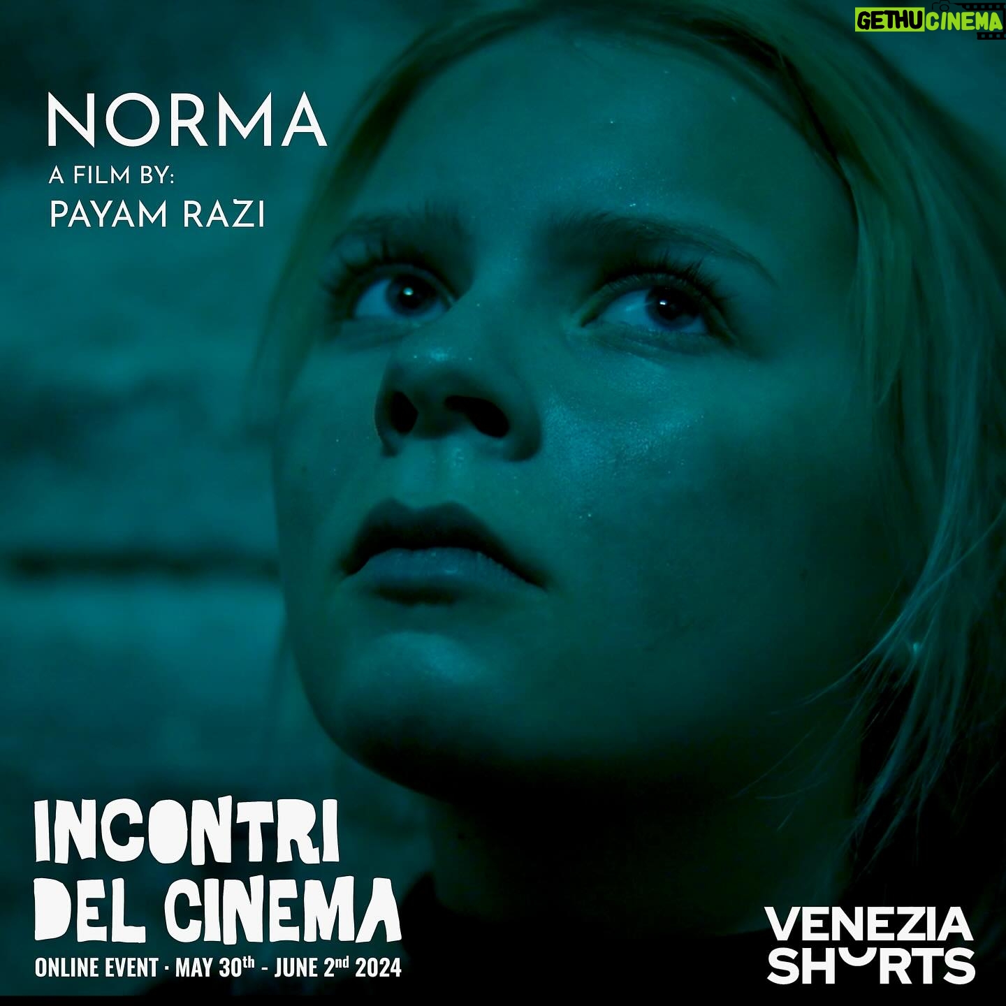 Zar Amir Ebrahimi Instagram - The idea for my latest film, “Norma,” was born out of the urgency and love we all had for “Screenshot,” our cozy film house with its cinematic bars in the center of Prague, just days before we were forced to shut it down last year. Soon after, I was joined by a group of creative professionals and supportive talents who brought it to life. After its completion at the beginning of this year, “Norma” had its first exposure at the recent Cannes “Short Film Corner.” Today, I’m thrilled to announce that our film has been selected to compete at @veneziashorts among some of the best films of the past year. Needless to say, without the dedication and love of our great team and the support of amazing friends, making “Norma” wouldn’t have been possible, and I wholeheartedly thank you for that.❤️🙏🏼🙌🏼 I’m also happy to announce that coinciding with this good news, my company Screenshot, after a bumpy year, has been revived, and you will hear more about its new life soon. 🤘🏽 Written and directed: Payam Razi @payainprague Executive producer: Zar Amir @zaramirebrahimi Starring: Adelle Hollmer @adellehollmer 🌟 Geoff Tyson @geofftyson Elissa Levitt @elissa_levitt Holden McNeil @thunder_mcneil Director of photography: Prokop Souček Production Managers: Tyra Larsson @tyra.larsson Assistant director: Johan Kolinsky @johankolinsky Sound Designer: Miroslav Chaloupka @miracervenachaloupka Costume Designer: Matěj Kačírek Music: @trentemoeller Composer: @blackloud.wav Sound: Mike Straka @mikestrak_a Makeup: Lenka Škodová @skodova_lenka , Markéta Němcová Set Assistant:Jiri Polak 1st Assistant camera: Ondřej Pokorný @poky_ff 2nd Assistant cameram: Tadeáš Řezníček @reznicek_t Gaffer: Robin Skotnicki @robinskotnicki Colorist: Jan Moravec @jan_moravec Production Assistant: David Atanesyan @neverendingnightshift Photographer: Vojta Je Žek @tjesha Performance coordinator Adéla Bet Rezlemová Sofie Erizame @truuzz Post production: @cinematikcz Sound: @sleepwalkersound Coproduction: @alambicproduction Production: @screenshot_prague @veneziashorts