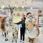 Zarifa Mgoyan Instagram - Родные мои, я вам уже рассказывала про мою добрую знакомую Екатерину Фролову @maminkamchadal из Камчатки, которая стала мамой 3 прекрасным пацанам: Джемику, Богдаше и Витюше. Сейчас Екатерина живет в Москве, и мы по доброй традиции встретились и классно провели время. Катенька, как же мальчишкам повезло с Вами. Люблю Вашу семью.❤️
