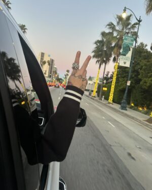 Zayn Malik Instagram - LA🌴