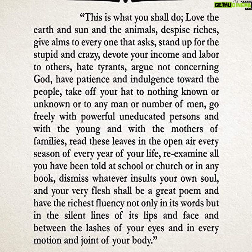 Zazie Beetz Instagram - A blessing on all living beings this morning.