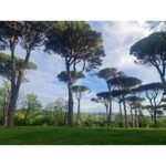 Zerrin Tekindor Instagram - Bana Toulouse’da çok güzel bir deneyim yaşatan Hande Demirdere, Sercan Özen Yıldırım’a, Pierre Fabre ailesine, bu seyahatteki tüm değerli doktorlara ve Jacob’la Antoine’a çok teşekkür ederim. Sizleri tanımak harikaydı. İyi ki oradaydım. #pierrefabre #toulouse #stationthermaleavene
