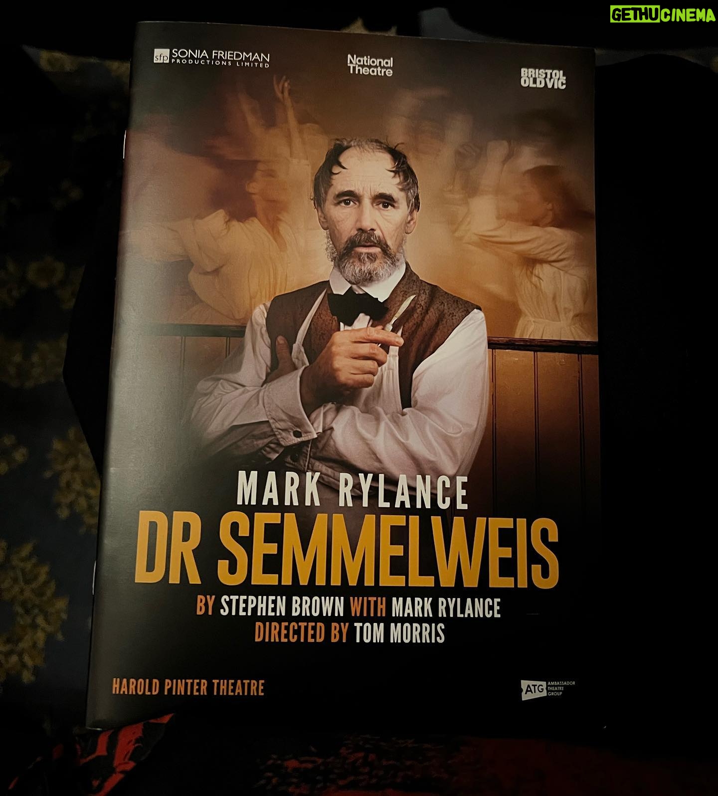 Zerrin Tekindor Instagram - Dün akşam Harold Pinter Theatre’da #StephenBrown’un yazdığı, #TomMorris’in yönettiği #DrSemmelweis adlı oyunu seyrettim. 1800’lerde yaşamış bir bilim insanı ve hekim olan ve el yıkamanın doğum sırasında ve ameliyatlarda en önemli şey olduğunu bas bas bağıran ama diğer doktorların umursamadığı Ignaz Semmelweis’ın hikayesi anlatılıyor oyunda. #MarkRylance yine her zamanki gibi sinir bozucu iyi oynuyor. Tiyatroyla baleyi birleştirmişler; birçok sahne replikle değil baleyle anlatıldı. Ve konservatuvarın ilk senesinde yaptığımız mimik derslerini hatırladım; bütün doğum sahneleri, bebekler, ameliyatlar hep mimikti. Çok enteresandı. @haroldpintertheatre @semmelweisldn