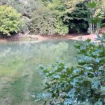 Zeta Makrypoulia Instagram - Σας φέρνω λίγο το φθινόπωρο, γιατί στην Αθήνα δεν το ζούμε πλέον.. 🍁🍂🦮🌳🦨🦫🦚🍂🍁… ————————————————————————————— #greeknature #karpenisi